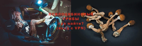 бошки Вязьма